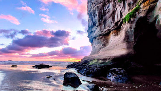 Muriwai