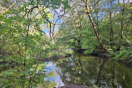 River Crane Brick (Shot) Tower & Cafe