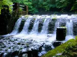 Cave Springs Campground