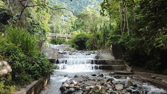 Patque Nacional Yurubi Area Recreativa Leonor Bernarbo