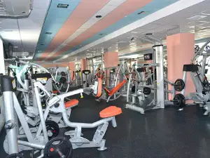 Sport Factor