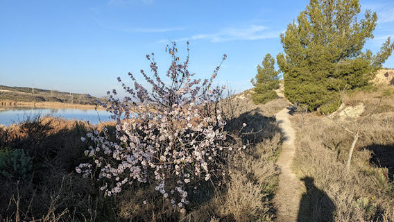 Aranjuez