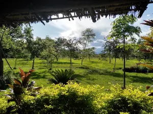 Botanico Concepción Garden