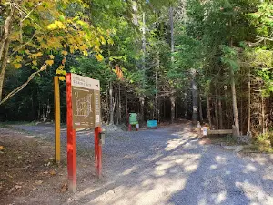 Hanmer Heritage Forest Trust