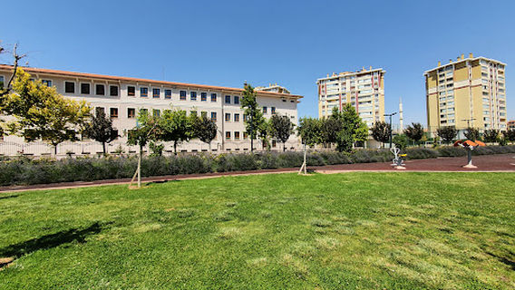 Sakura Parkı
