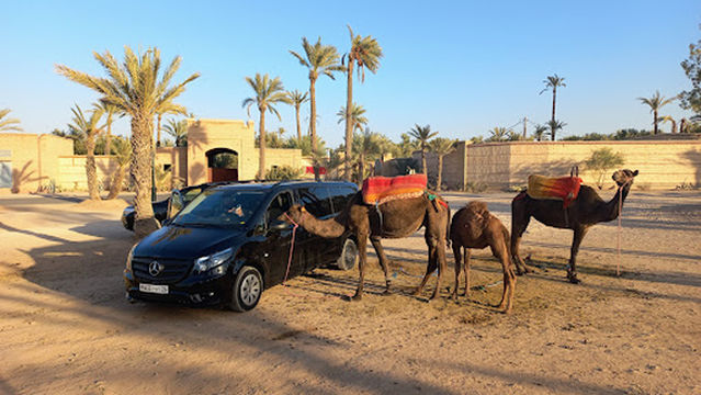 Quad Adventure Marrakech - Location & Excursions en Quad