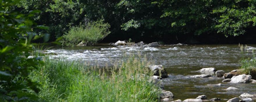 NaturCamp' Au Fil de l'Eau