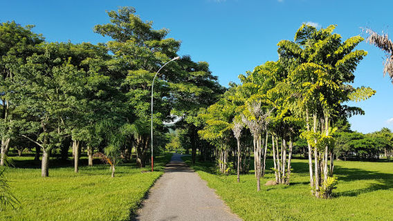 Lagoon Valley Princess