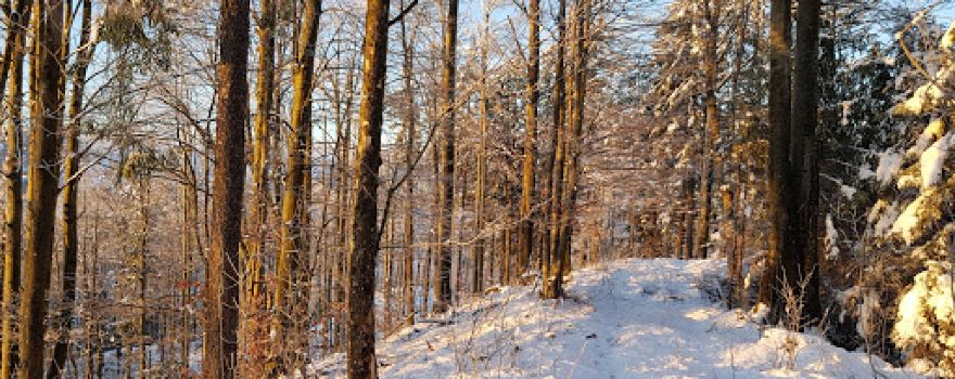 Hleviska Planina