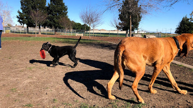 Lynn Robie Off-Leash Dog Park