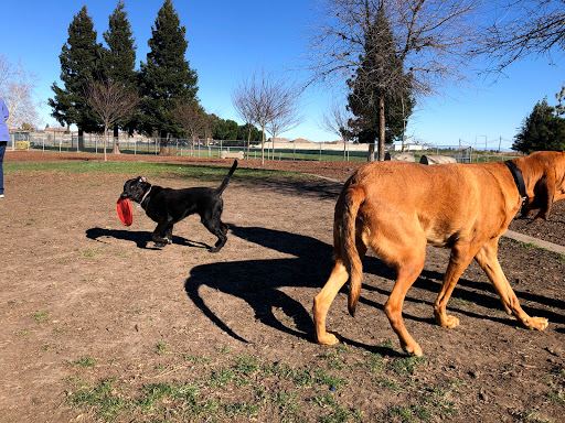 Lynn Robie Off-Leash Dog Park