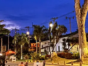 Parque Del Samán