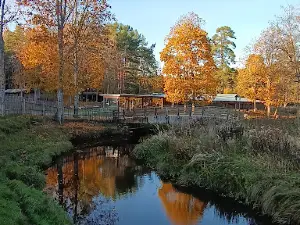 Kalju-Lava