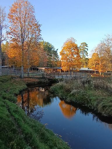 Kalju-Lava