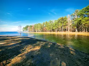 R. Shaefer Heard Park