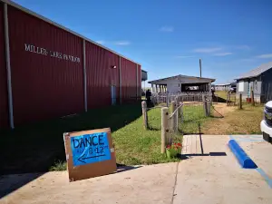 Colfax County Fairgrounds