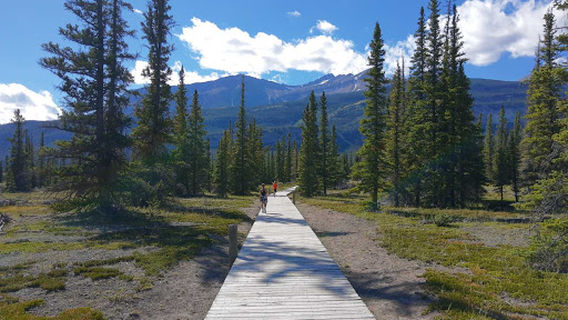 Allstones Lake Staging Area
