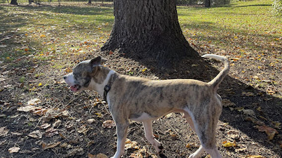 Ruff & Tumble Dog Park