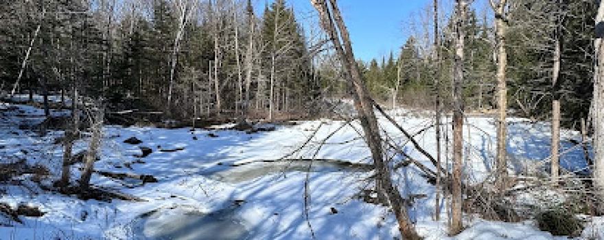 Jamies Pond