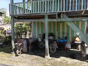 Lapangan Desa Tomoli
