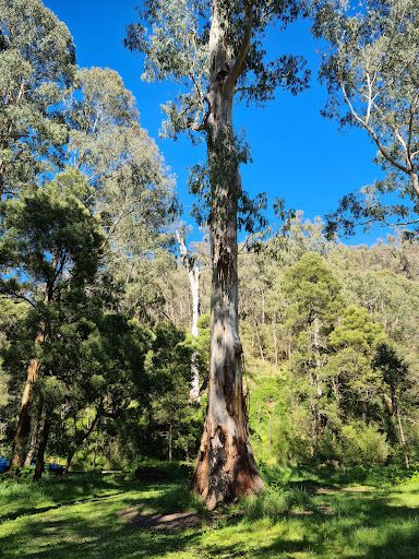 Running Creek Camping Reserve