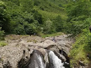 Terme Stream