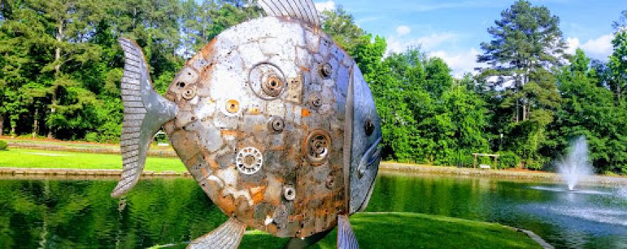 Roswell Area Park