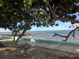 Parque Emiliano Salvador