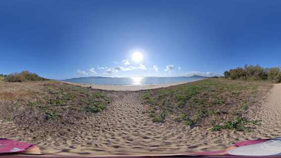 Pallarenda Dog Beach