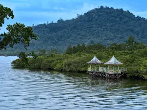 Taman Wisata Mangrove Sofifi