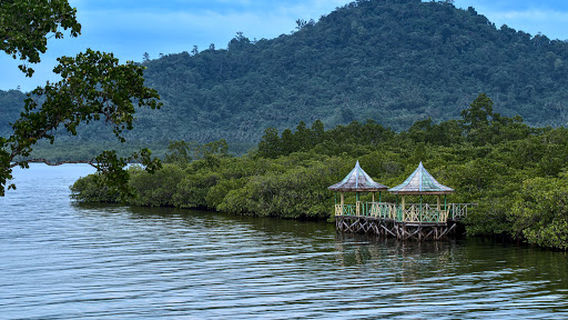 Taman Wisata Mangrove Sofifi