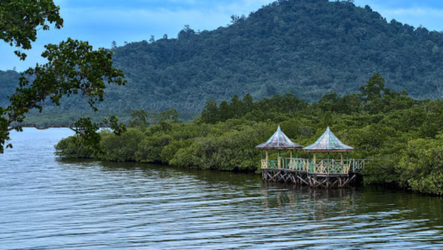 Taman Wisata Mangrove Sofifi