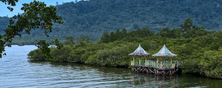 Taman Wisata Mangrove Sofifi