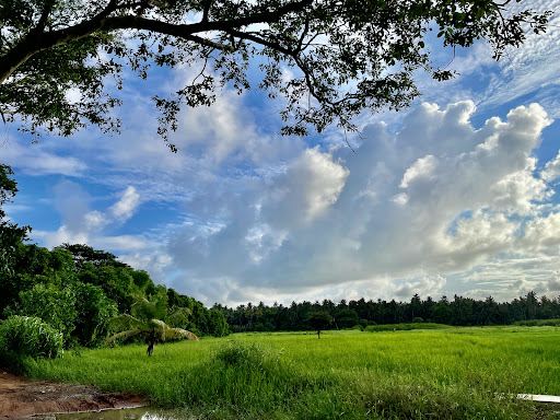 Chilaw town