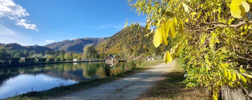 Balta cu tei