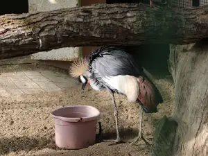 Keçiören Evcil Hayvanlar Parkı