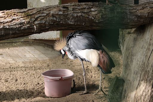 Keçiören Evcil Hayvanlar Parkı