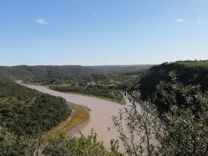 Kwelera