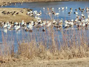 Rapp Park & Recreation Area