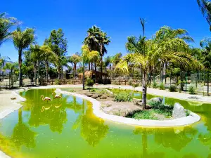 Jersey's Kid's Zoo Park