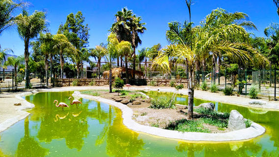 Jersey's Kid's Zoo Park