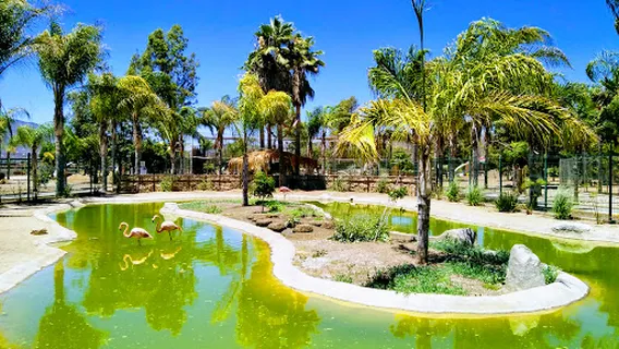 Jersey's Kid's Zoo Park