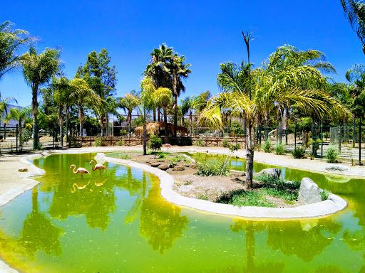 Jersey's Kid's Zoo Park