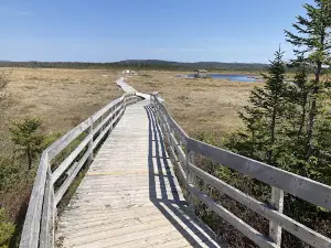 Winterland Eco Trail