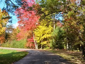 Lake Dexter County Park & Campground