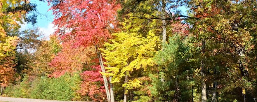Lake Dexter County Park & Campground