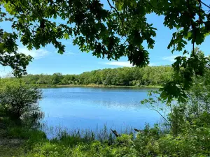Shawnee Trail Conservation Area
