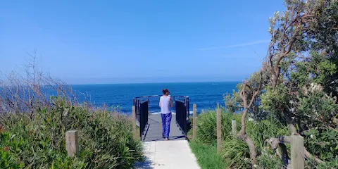 Penguin head reserve