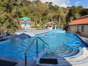 Te Aroha Domain