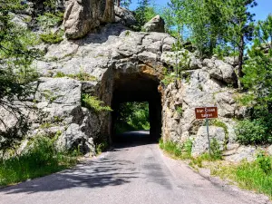 Custer State Park